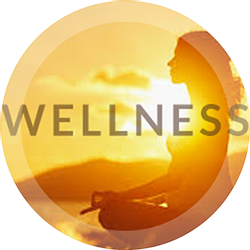 Wellness Consultation at Aamod Wellness